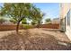 Private backyard with desert landscaping, mature trees, and privacy walls at 2333 Silver Crew Pass, Henderson, NV 89052