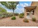 Backyard featuring desert landscaping and mature shade tree at 2343 Galilean Moon St, Henderson, NV 89044