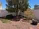 The backyard has rock cover and trees providing shade at 10195 Queensbury Ave, Las Vegas, NV 89135
