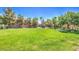 Well-maintained community park offers green space, trees, and a playground for Gathering enjoyment at 11219 Playa Bonita Ave, Las Vegas, NV 89138