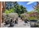 Potted plants and drought-resistant landscaping define the backyard at 1700 Red Rock St, Las Vegas, NV 89146