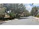 Neighborhood street view with lush vegetation and landscaping leading to multi-story residential buildings at 2050 W Warm Springs Rd # 4211, Henderson, NV 89014