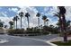 Attractive street view with palm trees reaching to a blue sky and manicured landscaping at 2050 W Warm Springs Rd # 4211, Henderson, NV 89014