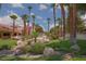 Community green space featuring mature palm trees, rock landscaping, and an American flag at 5114 S Jones Blvd # 202, Las Vegas, NV 89118
