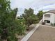 Exterior view featuring lush landscaping, manicured grounds, and a walkway at 5655 E Sahara Ave # 2020, Las Vegas, NV 89142
