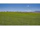 Expansive community green space with well-maintained lawn and distant mountain views at 707 Cottonwood Hill Pl, Henderson, NV 89011