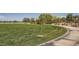 Expansive community park featuring a large grassy area, walking path, and covered picnic area at 707 Cottonwood Hill Pl, Henderson, NV 89011