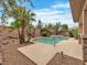 Backyard featuring a luxurious swimming pool and palm trees at 7505 Java Sparrow St, North Las Vegas, NV 89084