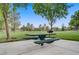 Outdoor park with picnic table and lush green space in a community setting, with picnic table at 936 Viscanio Pl, Las Vegas, NV 89138