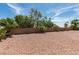 Large backyard with desert landscaping, palm trees, shrubbery, and block wall surround at 9524 Tyler Rose St, Las Vegas, NV 89178