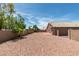 Desert landscaped backyard with block wall, palm trees, and a red concrete patio area at 9524 Tyler Rose St, Las Vegas, NV 89178