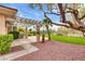 Beautiful backyard featuring a covered patio and landscaped yard with desert plants at 11527 Morning Grove Dr, Las Vegas, NV 89135