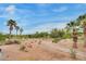 Scenic view overlooking the golf course with mature trees and desert landscape at 11527 Morning Grove Dr, Las Vegas, NV 89135