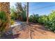 Picture of a backyard covered in plants and foliage at 2612 Sonora St, Las Vegas, NV 89102