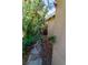 This area features vibrant greenery and flowering plants that enhance the outdoor space at 2612 Sonora St, Las Vegas, NV 89102