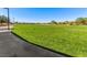 Expansive grassy area with a paved path, part of the community's recreational green space, inviting outdoor activities at 1124 Aspen Cliff Dr, Henderson, NV 89011