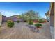 Low-maintenance backyard featuring desert landscaping, mature trees, and privacy fence at 2613 Velodrome Ct, Henderson, NV 89044
