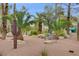 A tranquil courtyard features a wrought iron bench, desert landscaping, and mature palm trees at 2832 Cape Hope Way, Las Vegas, NV 89121
