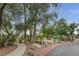 A beautifully landscaped walking path leads to the community area at 2832 Cape Hope Way, Las Vegas, NV 89121