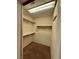 Spacious walk-in closet with multiple shelves and carpeted flooring offers ample storage space at 3624 Pelican Brief Ln, North Las Vegas, NV 89084