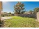 Expansive backyard with mature shade tree, block wall fencing, and a concrete patio pad at 4336 Fenton Ln, North Las Vegas, NV 89032