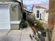 Beautiful home exterior with well-maintained landscaping and vibrant greenery at 4568 Little Finch Ln, Las Vegas, NV 89115