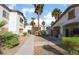 A walkway lined with trees between two homes on a sunny day at 5655 E Sahara Ave # 1037, Las Vegas, NV 89142