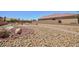 Low maintenance backyard featuring rock landscaping, a walking path and mature trees at 1081 Via Gandalfi, Henderson, NV 89011