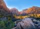 Breathtaking mountain view with diverse rock formations and lush green foliage at 11228 Hedgemont Ave, Las Vegas, NV 89138