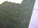 Artificial turf at 1927 Raspberry Hill Rd, Las Vegas, NV 89142