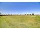 Expansive green field offers a wide open space for outdoor activities and recreation at 2445 Rue Royale, Henderson, NV 89044