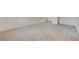 Spacious carpeted bedroom with a walk-in closet at 4331 Golden Palomino Ln, North Las Vegas, NV 89032