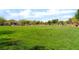 Panoramic view of a public park with bright green grass and shade structures at 5852 Clear Haven Ln, North Las Vegas, NV 89081