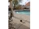 Backyard view of the pool and surrounding patio area, perfect for outdoor entertaining at 7894 W Patrick Ln, Las Vegas, NV 89113