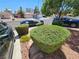 Exterior shot of the front yard showcasing landscaped bushes, trees, and a view of the street at 8072 Cimarron Ridge Dr # 201, Las Vegas, NV 89128
