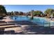 Community pool with multiple lounge chairs, umbrellas, and surrounding landscaping at , Henderson, NV 89011