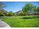 Well-kept community green space with lush lawn and mature trees, ideal for relaxation and recreation at 11112 Pine Greens Ct, Las Vegas, NV 89144