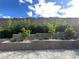 Tiered wall with lush plants and landscaping, offering privacy and visual appeal at 12155 Sage Thunder Ave, Las Vegas, NV 89138