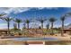 Community playground featuring modern climbing structures, palm trees, and landscaping in a residential area at 12155 Sage Thunder Ave, Las Vegas, NV 89138