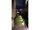 Backyard putting green with accent lighting, offering a touch of leisure and luxury for golf enthusiasts at 12155 Sage Thunder Ave, Las Vegas, NV 89138