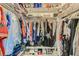 Spacious walk-in closet filled with clothing, shoes, and accessories with organized shelving at 1538 Pony Ranch Cir, Henderson, NV 89014