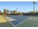 Well-maintained tennis court surrounded by lush greenery and professional lighting at 1538 Pony Ranch Cir, Henderson, NV 89014