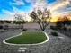 Fenced backyard featuring artificial turf, rock ground cover, and mature landscaping at 1782 Black Fox Canyon Rd, Henderson, NV 89052