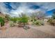 Backyard featuring desert landscaping with various plants, trees, and a backdrop of blue sky and scattered clouds at 2353 Lauren Dr, Las Vegas, NV 89134