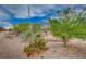 View of landscaped desert backyard with mature trees at 2353 Lauren Dr, Las Vegas, NV 89134