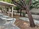Lush backyard with mature trees and fountain at 2855 Grande Valley Dr, Las Vegas, NV 89135