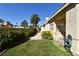 Expansive backyard featuring lush lawn, desert landscaping, stucco exterior, and bright sunny skies at 325 Wild Plum Ln, Las Vegas, NV 89107