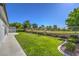 Scenic backyard showcasing lush green lawn, mature trees, and well-maintained landscaping at 5000 Linkside Dr, Las Vegas, NV 89130