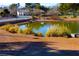 Peaceful pond featuring swans and a natural landscape in a beautiful neighborhood at 5000 Linkside Dr, Las Vegas, NV 89130