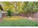 Backyard featuring a lush lawn, mature trees, and rock landscaping, creating a private oasis at 7052 Blissful Peak St, North Las Vegas, NV 89084